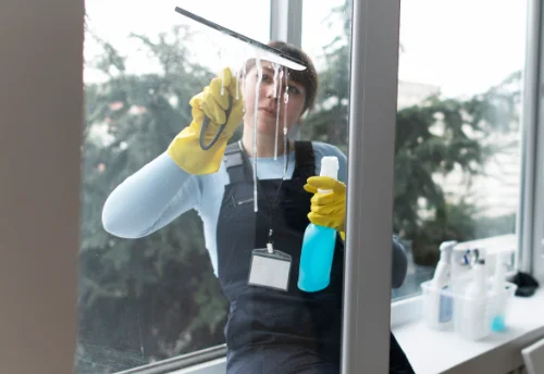 Nettoyage de vitres intérieures et extérieures à Lourties-Monbrun